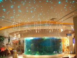 供應衡水透光膜 邢臺透光膜 邯鄲透光膜